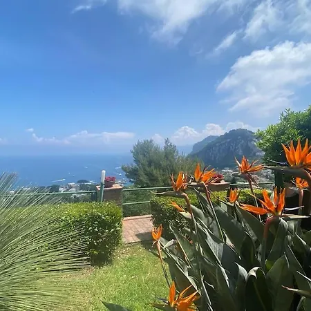 La Sisina - Capri